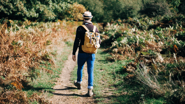 Man walking in the forest - Mental health  