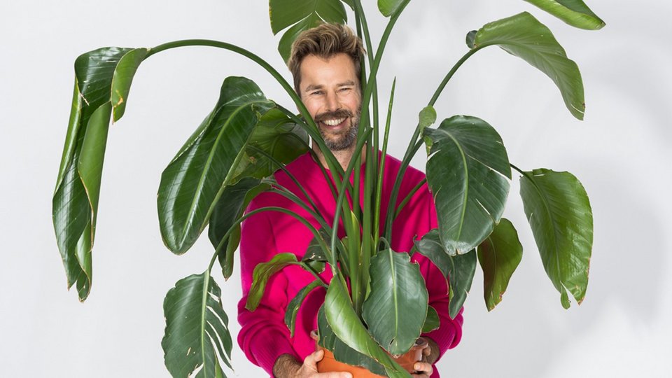 Man holding plant in pot in front of him