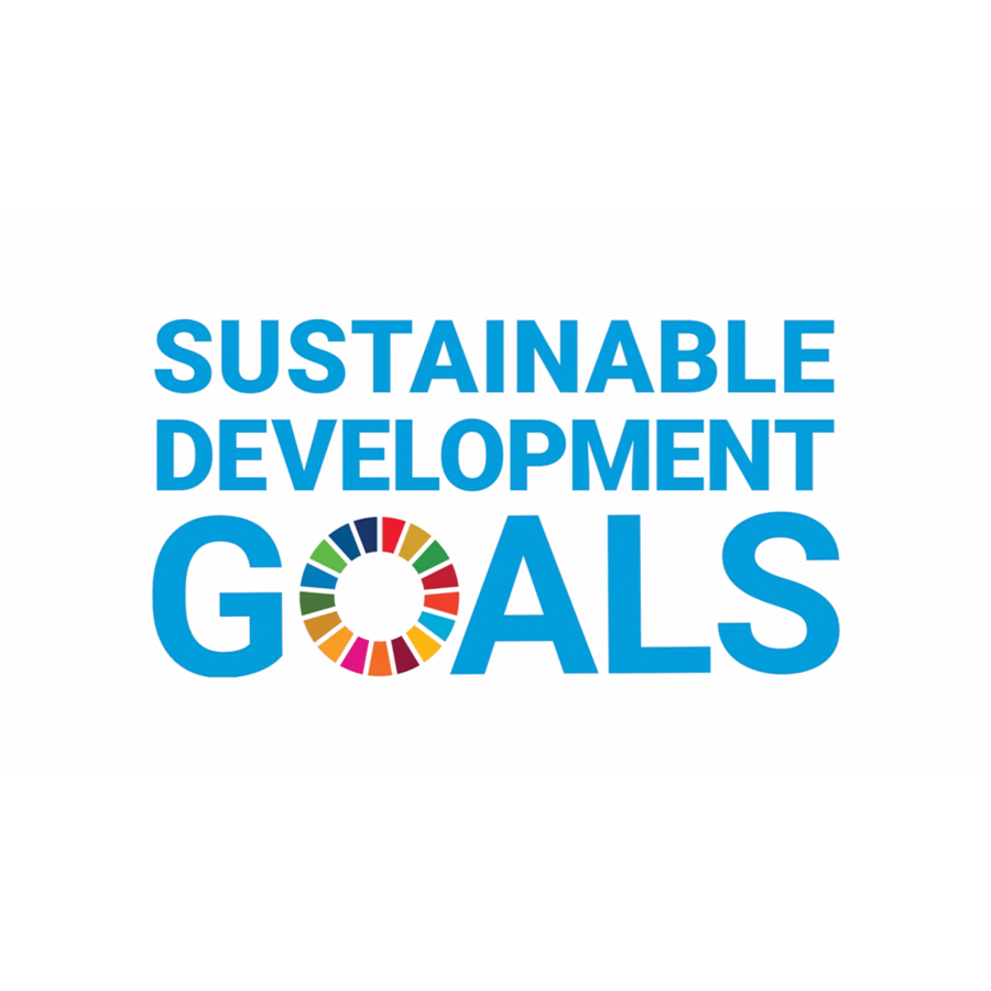 Ziele für nachhaltige Entwicklung der Vereinten Nationen Sustainable Development Goals Logo
