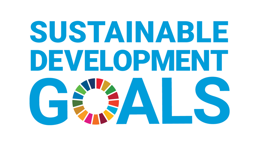 Sustainable Development Goals Logo