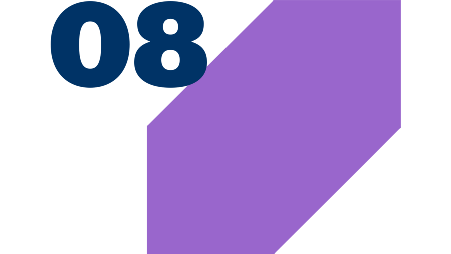 Freespective in the colour Orchid with the number 08